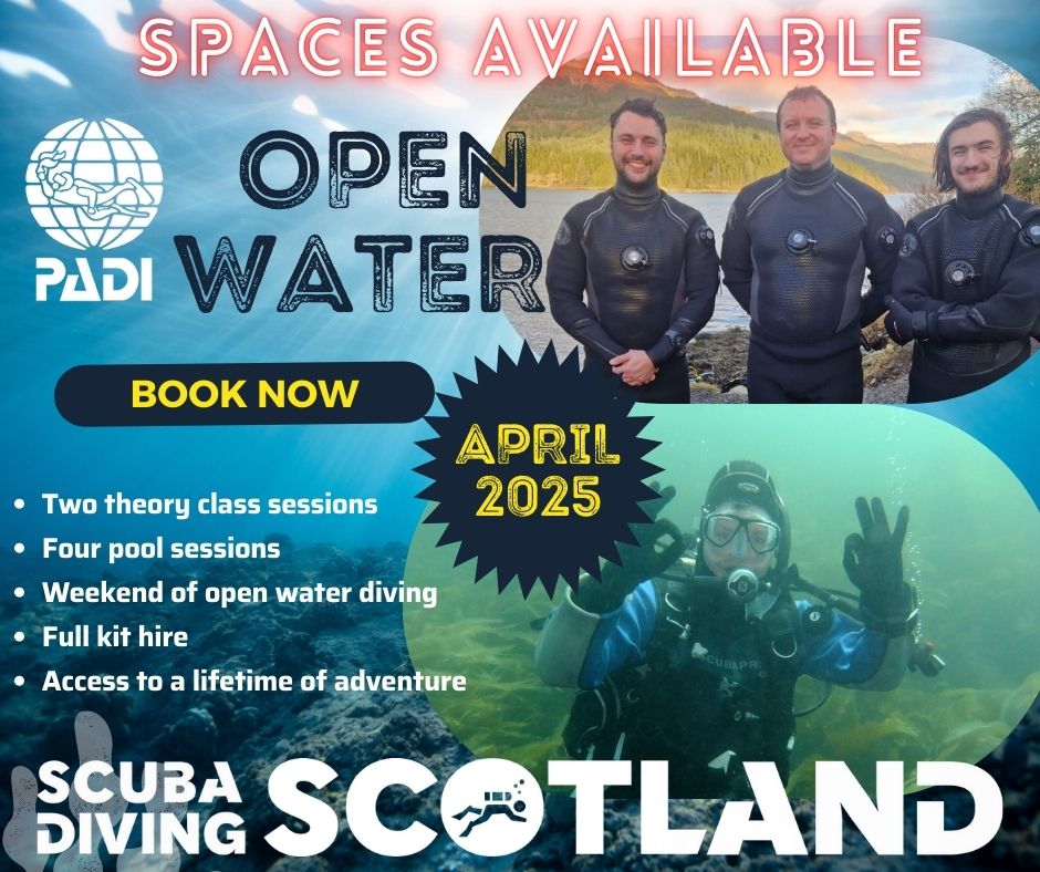 ⭐PADI Open Water Course April 2025⭐