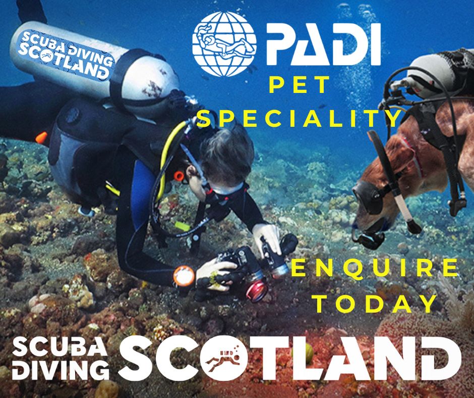 New Exclusive PADI Pet Speciality course!