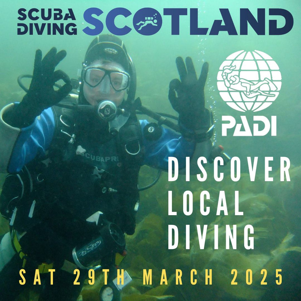 PADI Discover Local Diving (DLD) - Saturday 29th March 2025