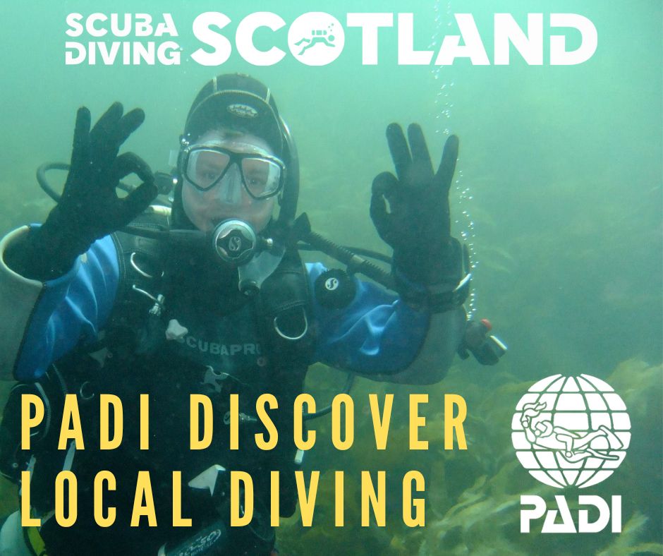 🔥 PADI Discover Local Diving (DLD)