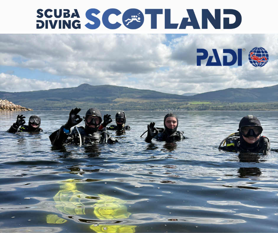 Another fantastic days diving at Furnace dive site Loch Fyne.