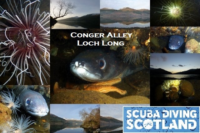 Diving Available Sunday 18th July 2021