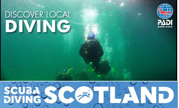 Discover Local Diving (DLD) Available Dates - 1st July to 3rd September 2017