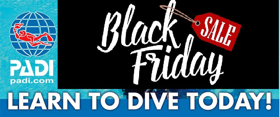 BLACK FRIDAY SALE at SCUBA DIVING SCOTLAND.