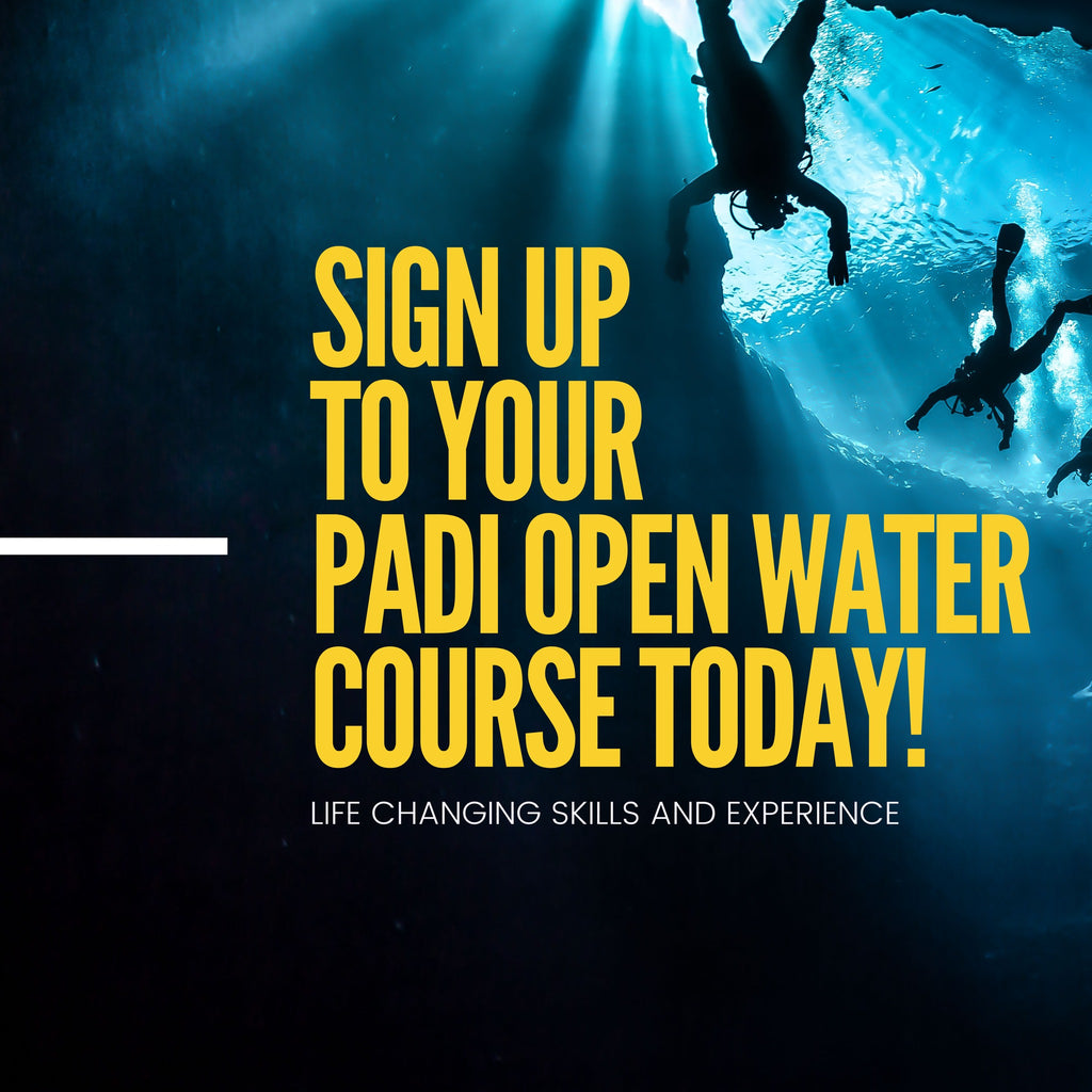 THINKING OF LEARNING TO SCUBA DIVE IN 2024? 🤔