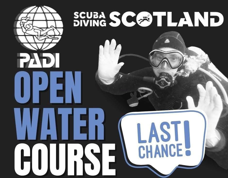 ⚠️❗️LAST CHANCE TO BOOK THE PADI OPEN WATER COURSE❗️⚠️