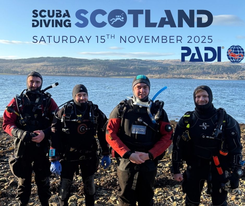 Dive Day - Saturday 15th November 2025