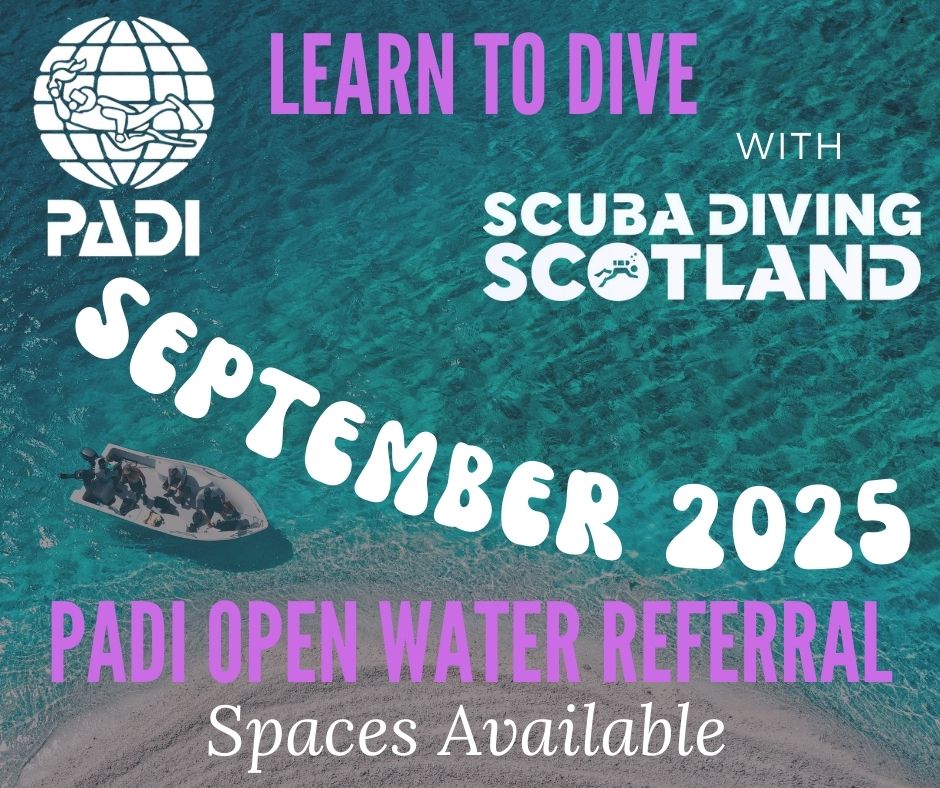 🚨LIMITED SPACES AVAILABLE! 🚨