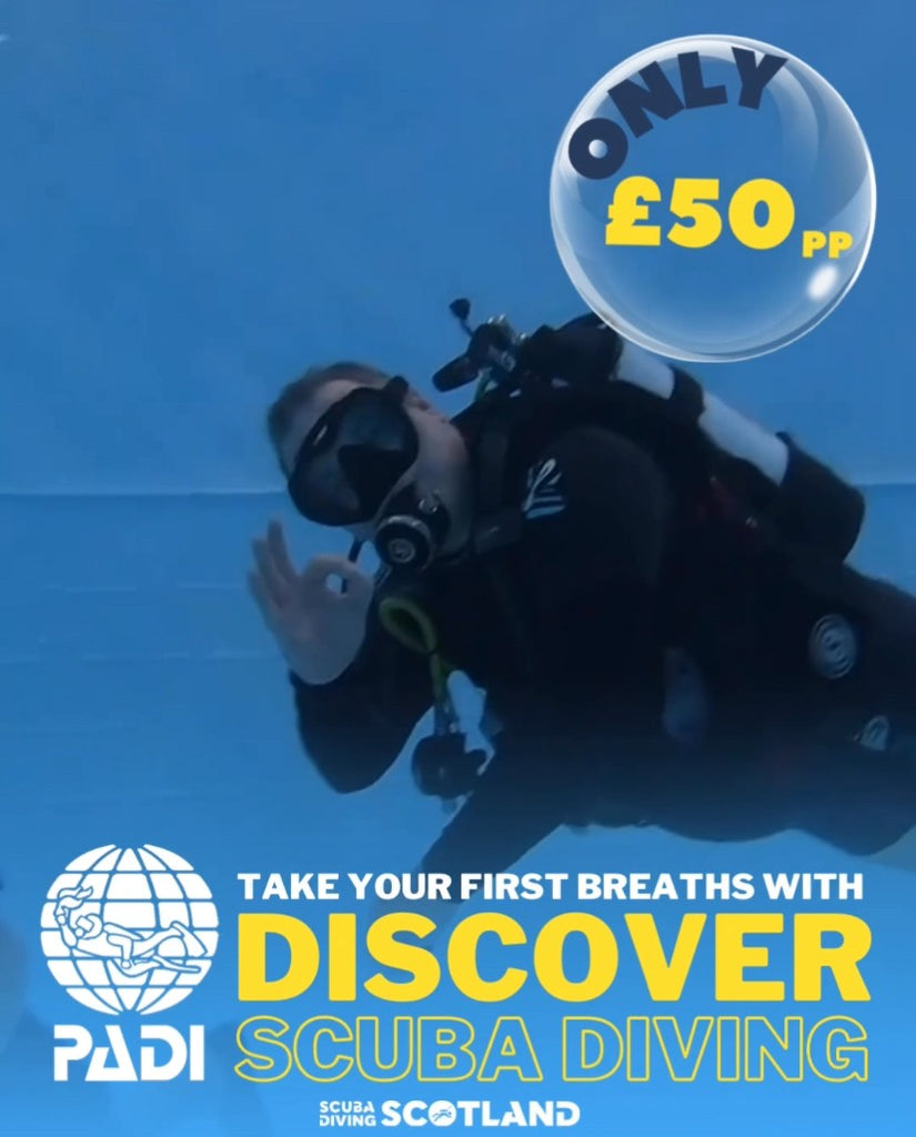 PADI Discover Scuba Diving