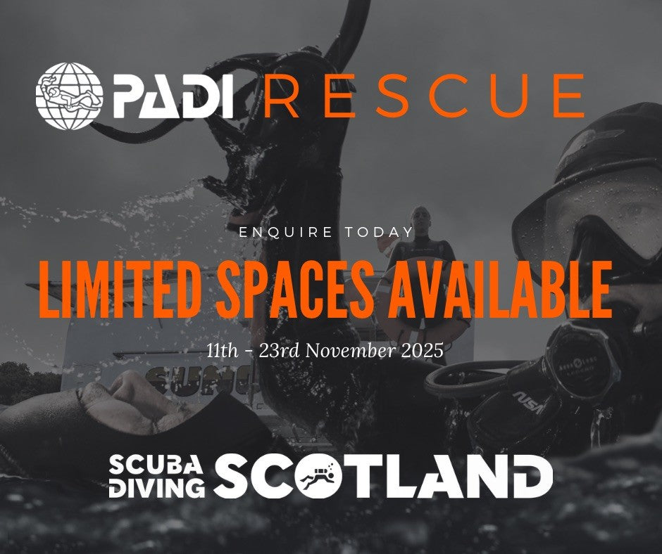 ⚠️LAST CHANCE TO BOOK OUR PADI RESCUE DIVER COURSE⚠️
