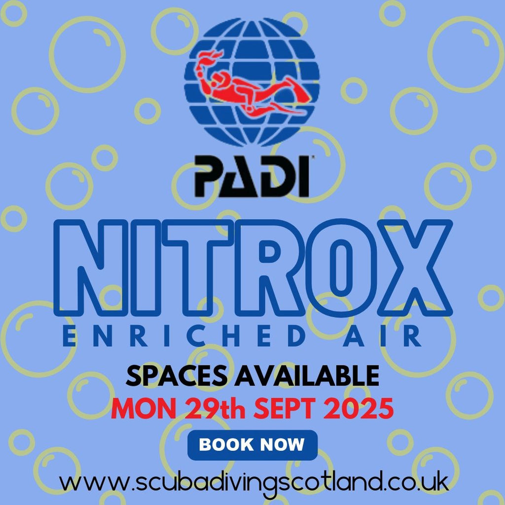 LAST CHANCE TO BOOK!!! 🏃