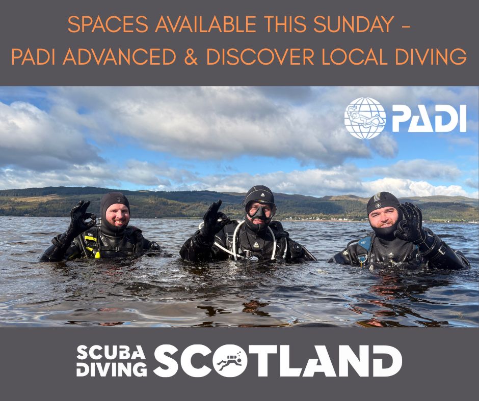 📣 SPACES AVAILABLE THIS SUNDAY