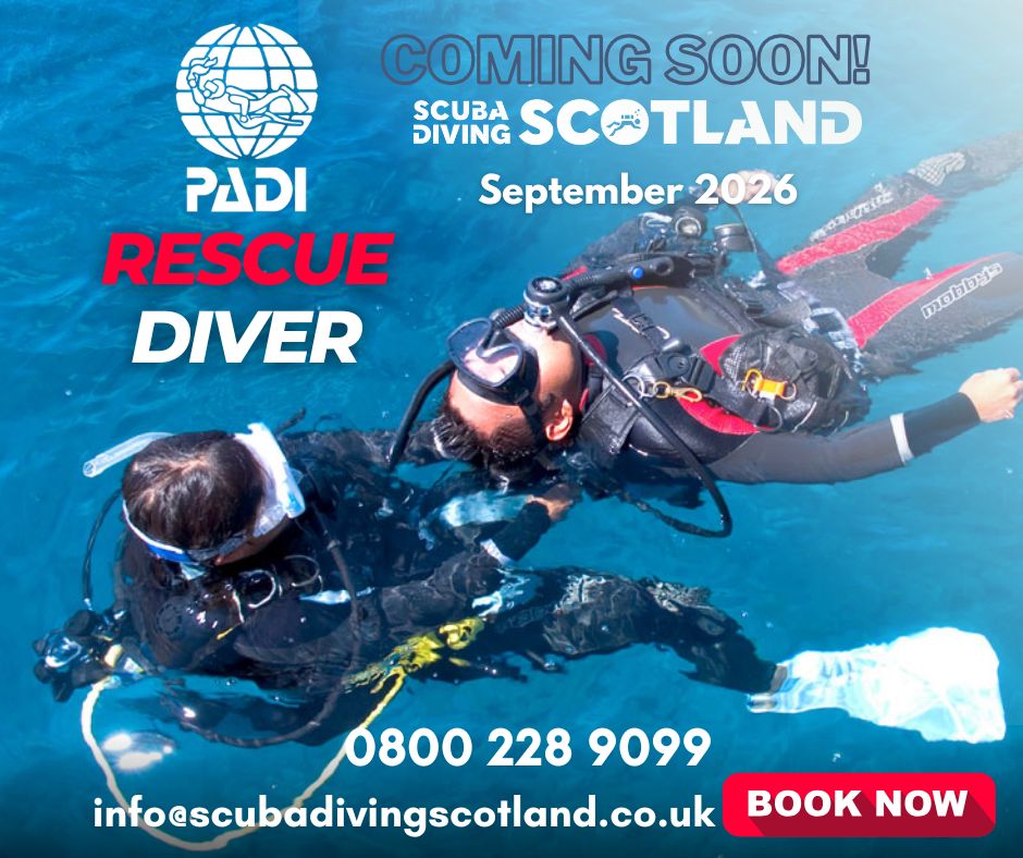 ⚠️PADI RESCUE DIVER COURSE - Coming Soon!⚠️