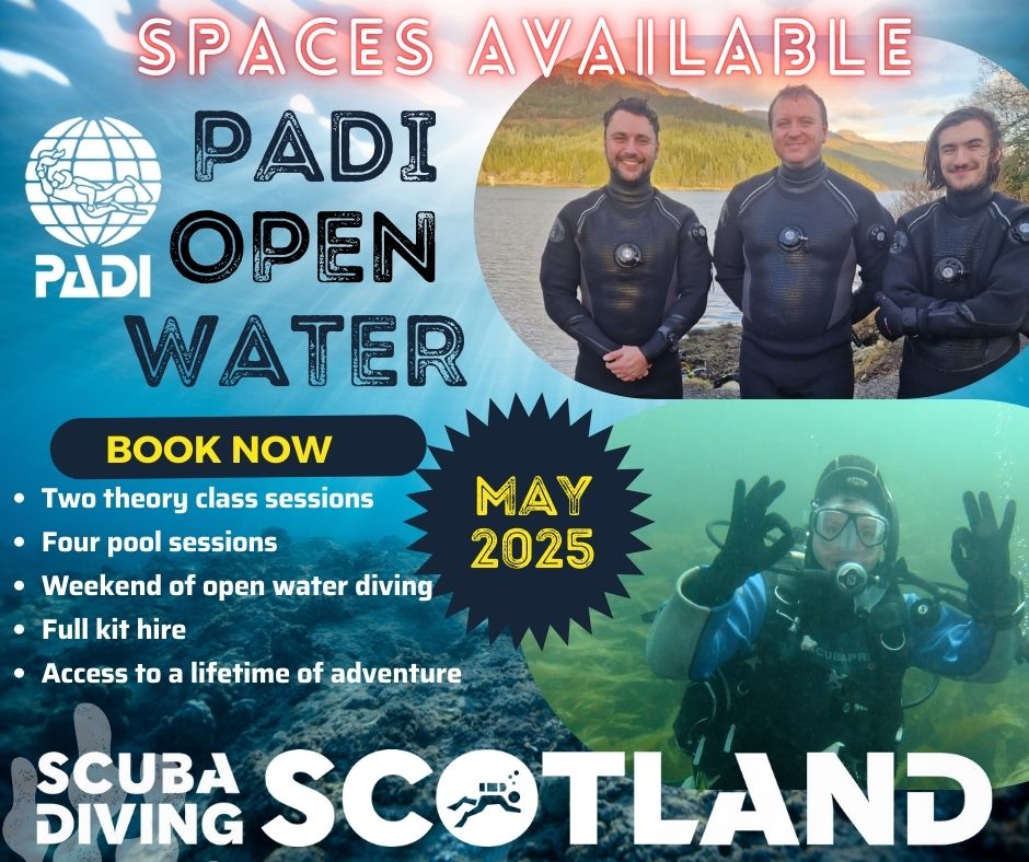⭐PADI Open Water Course May 2025⭐