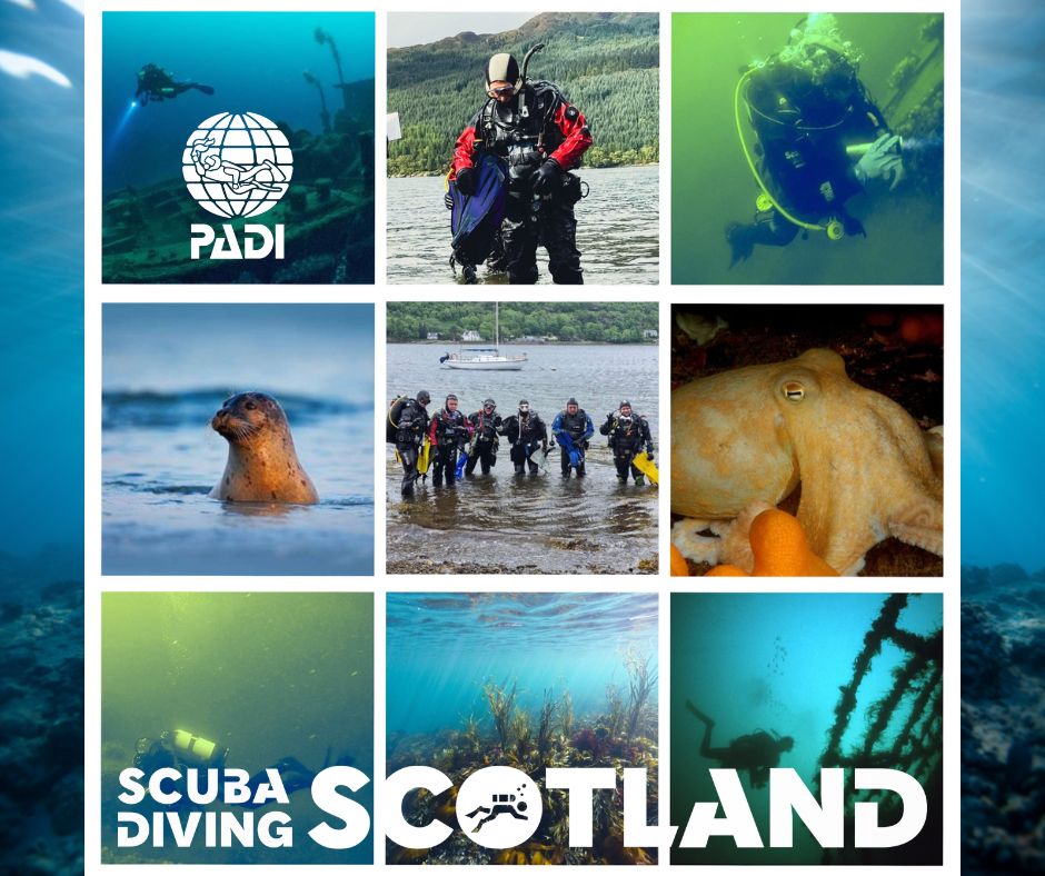 Amazing Diving In Scotland