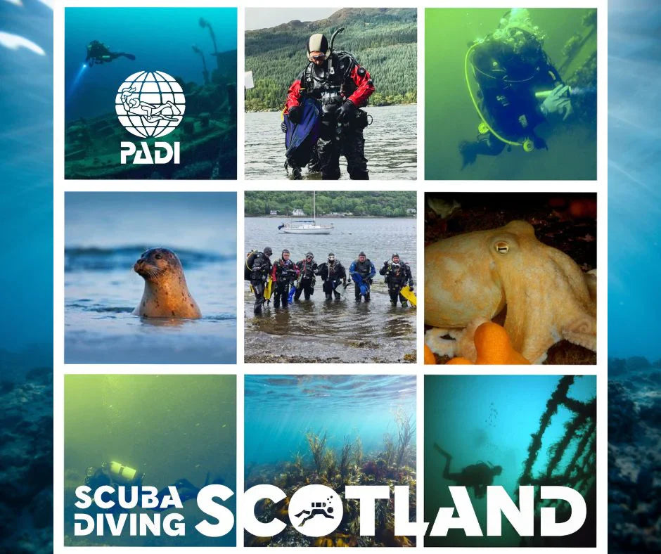 It might not be the first place you think to go scuba diving....
