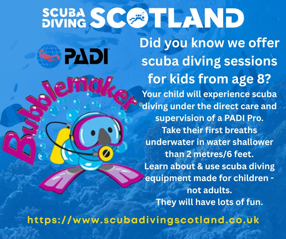 Do you have a child that’s curious about what lurks beneath the ocean?