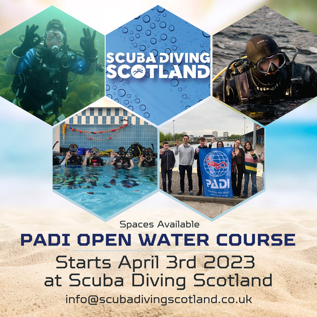 Spaces Still Available - PADI Open Water Course!