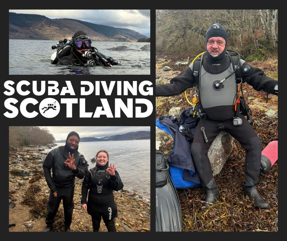 🤿 First Open Water Dives of 2026! 🥳 - Seal Reef 17.01.26.🤿