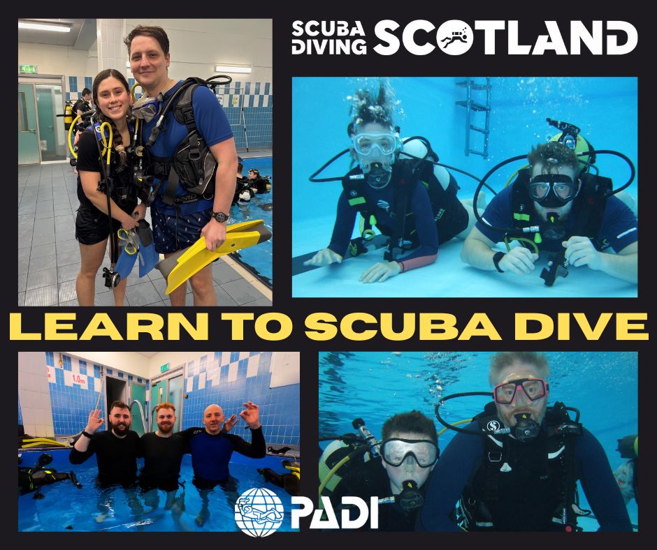 🤿 Always wanted to try Scuba Diving?