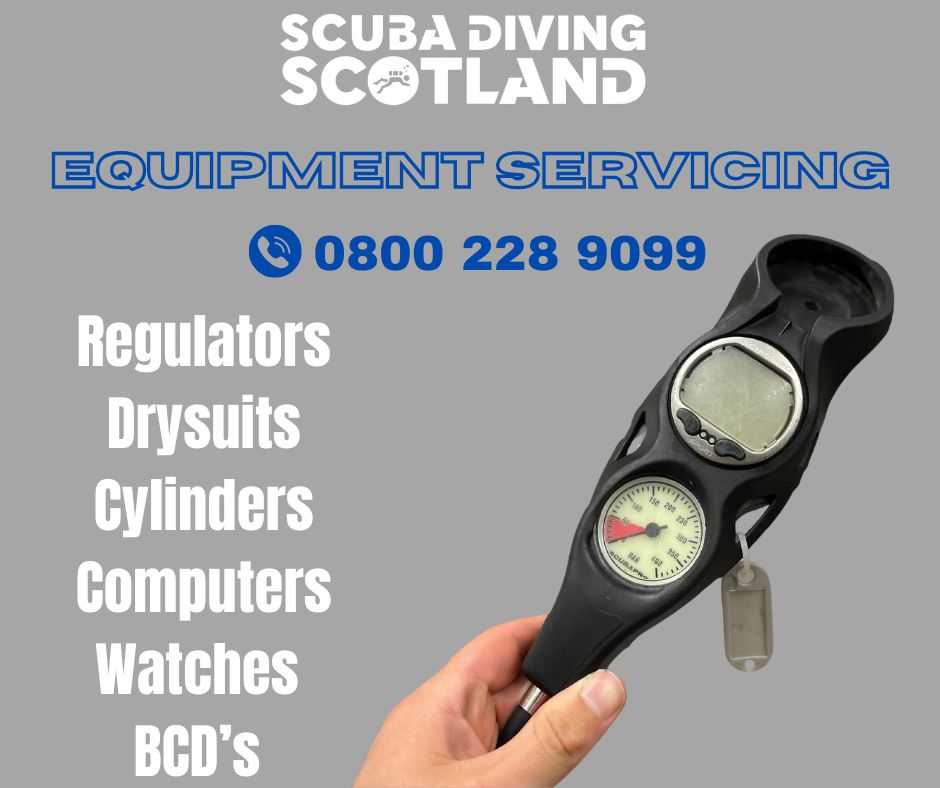 At SDS we dive all year round.