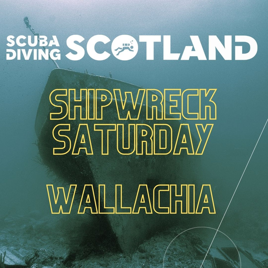This week on #ShipWreckSaturday we look at the famous Wallachia!