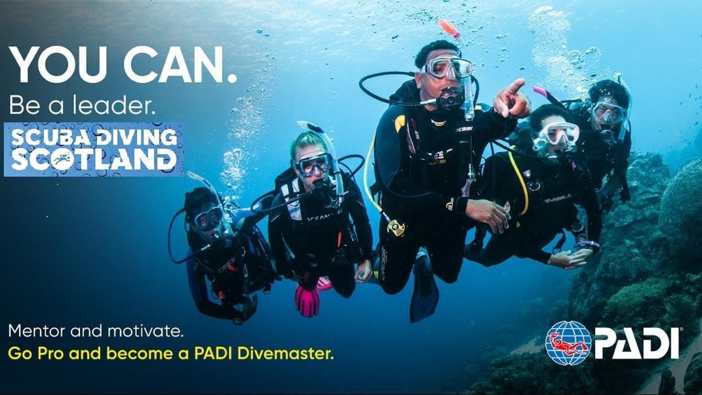 PADI Divemaster Internship 2022