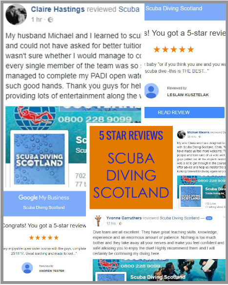 Five 5 Star Reviews in 24 hours for SCUBA DIVING SCOTLAND!