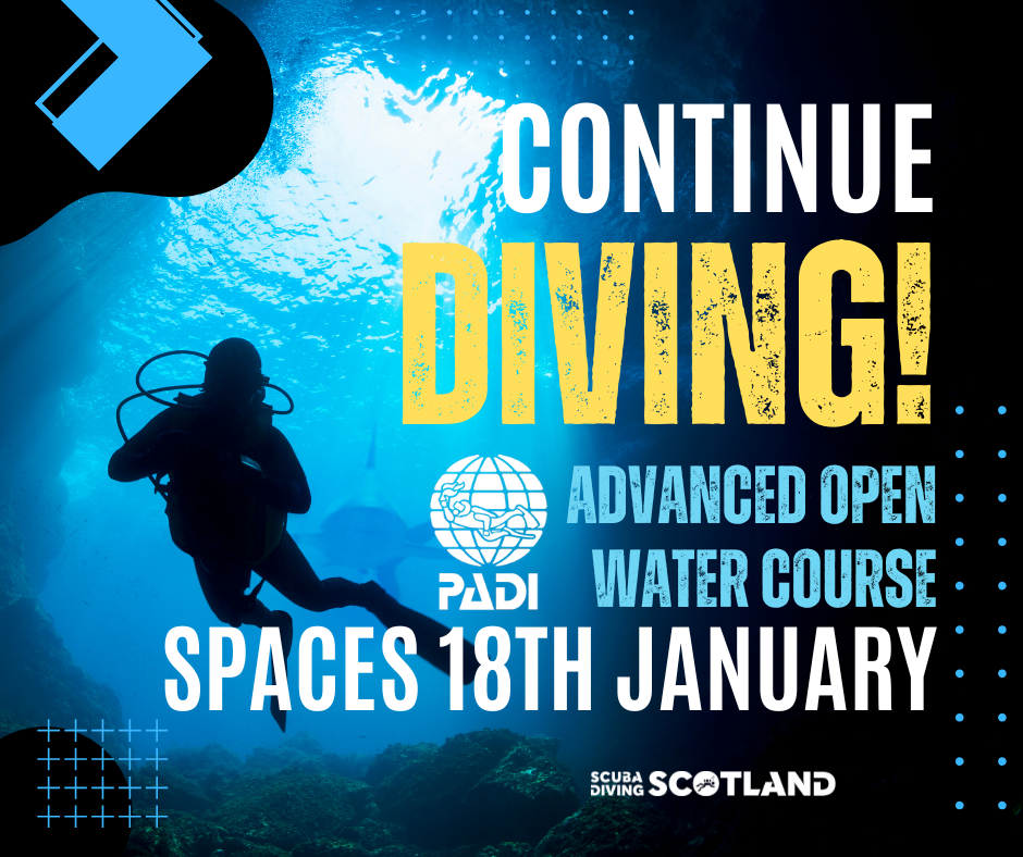 *LIMITED SPACES AVAILABLE* Diving Saturday 18th January