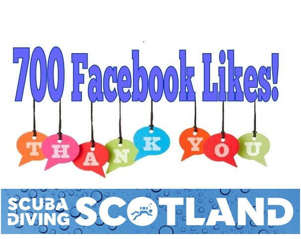 700 Facebook Likes! THANK YOU!