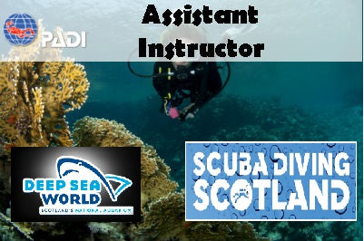 Deep Sea World - PADI Assistant Instructor Course August 2017