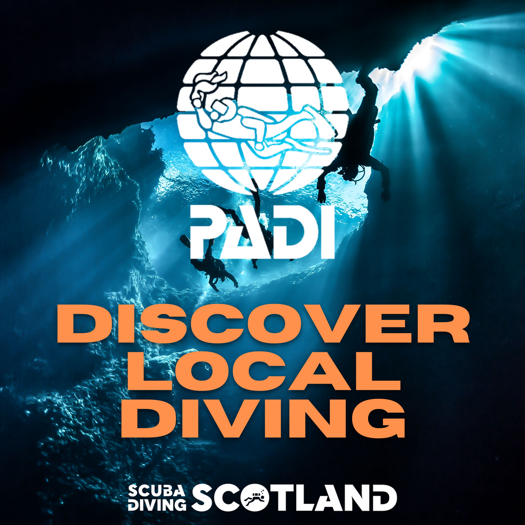 Diving 11th & 12th March 2023
