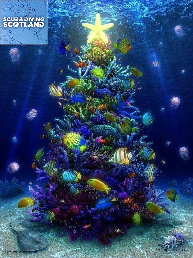 Merry Christmas from SCUBA DIVING SCOTLAND
