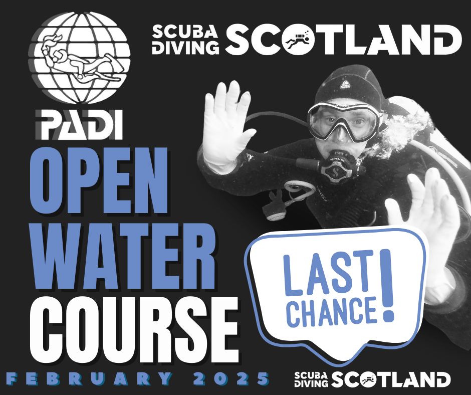 LAST CHANCE TO BOOK THE PADI OPEN WATER COURSE February 2025!