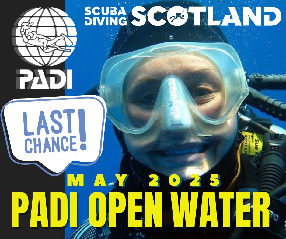 ⚠️❗️LAST CHANCE TO BOOK THE PADI OPEN WATER MAY 2025 COURSE❗️⚠️
