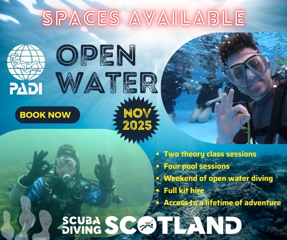 Join our PADI Open Water Diver Course starting on Monday 3rd November 2025! 🤿 💦