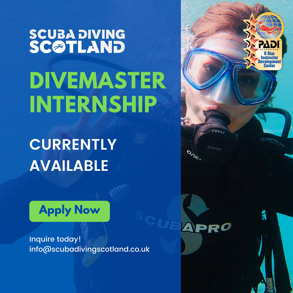 PADI Divemaster Internships 2023