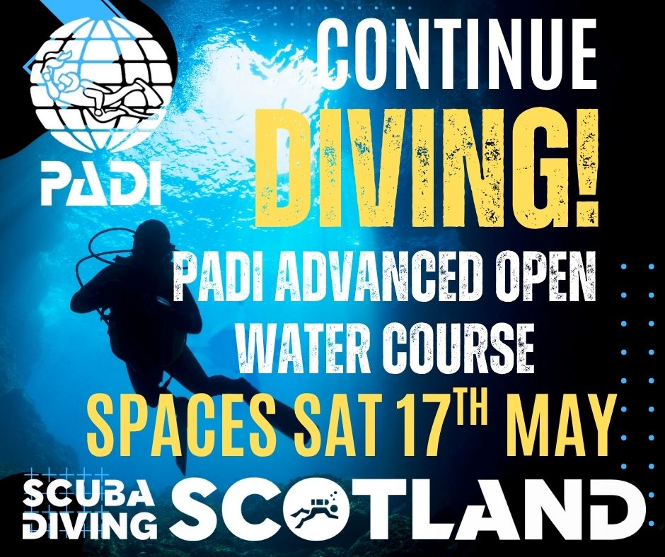 *LIMITED SPACES AVAILABLE* Saturday 17th May 2025.