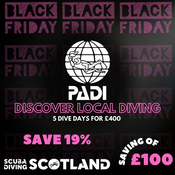 BLACK FRIDAY SALE - PADI Discover Local Diving Package 2026