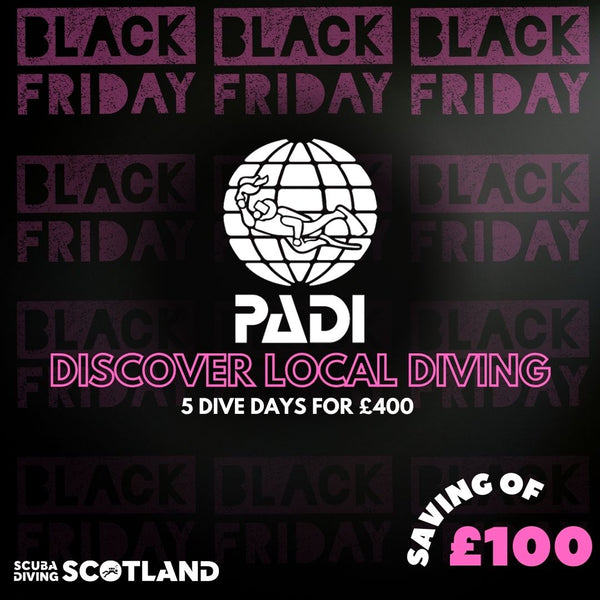 BLACK FRIDAY SALE - PADI Discover Local Diving Package 2025